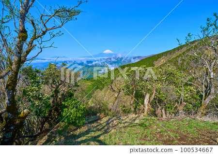 神奈川縣秦野市丹澤二之戶山頂休息處西側的富士山 神奈川縣秦野市丹澤二之戶山頂休息處西側的富士山 100534667