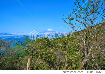 神奈川縣秦野市丹澤二之戶山頂休息處西側的富士山 神奈川縣秦野市丹澤二之戶山頂休息處西側的富士山 100534669