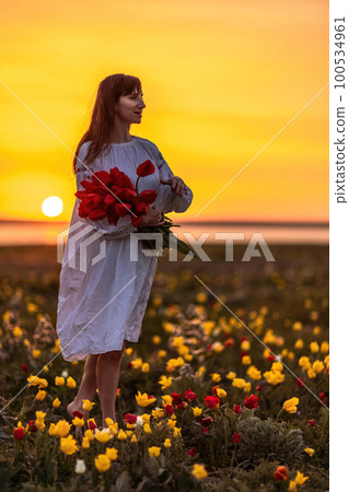 Woman field tulips sunset. Woman against sunset and wild tulip flowers, natural seasonal background. Multi-colored tulips Tulipa schrenkii in their natural habitat are listed in the Red Book. Woman field tulips sunset. Woman against sunset and wild tulip flowers, natural seasonal background. Multi-colored tulips Tulipa schrenkii in their natural habitat are listed in the Red Book. 100534961