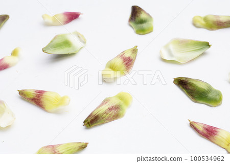 Fresh artichoke petals on white background 100534962