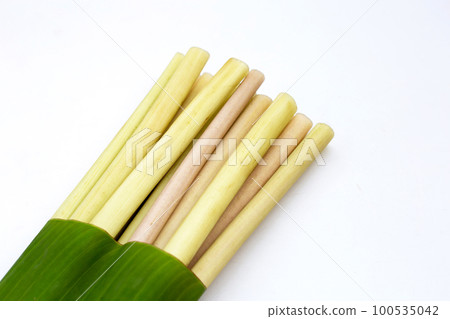 Lotus stems on white background. Lotus stems on white background. 100535042