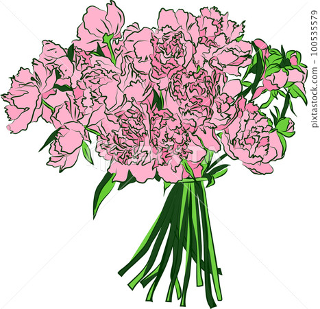 Bouquet of peony flowers. Hand drawn illustration. Bouquet of peony flowers. Hand drawn illustration. 100535579