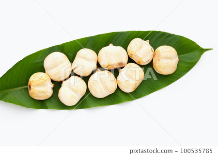 Toddy palm on white background. Toddy palm on white background. 100535785