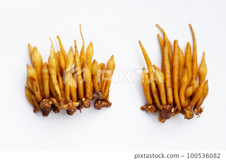 Fingerroot on a white background. Fingerroot on a white background. 100536082