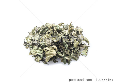 Mulberry leaf tea Dried mulberry leaves Health tea Health drink Image material Mulberry leaf tea Dried mulberry leaves Health tea Health drink Image material 100536165