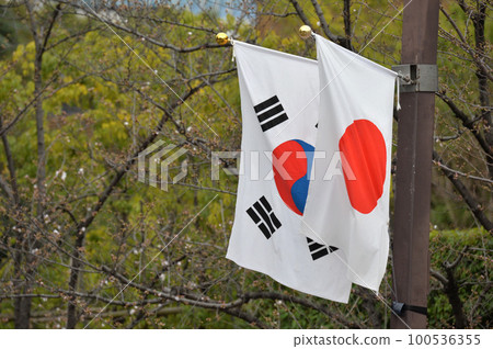 日本和韓國都是國旗 100536355