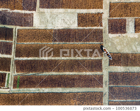 Aerial view of brown seaweed farm in Nusa Lembongan Aerial view of brown seaweed farm in Nusa Lembongan 100536873