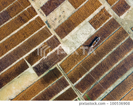 Aerial view of brown seaweed farm in Nusa Lembongan Aerial view of brown seaweed farm in Nusa Lembongan 100536908