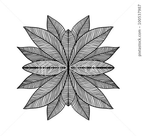 Vector hand drawn flower. Floral design element 100537987