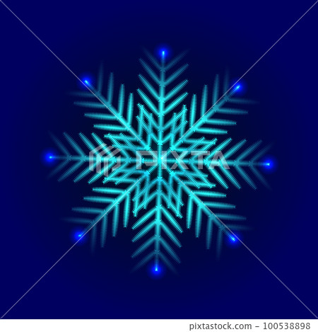 Decorative ornate snowflake 100538898