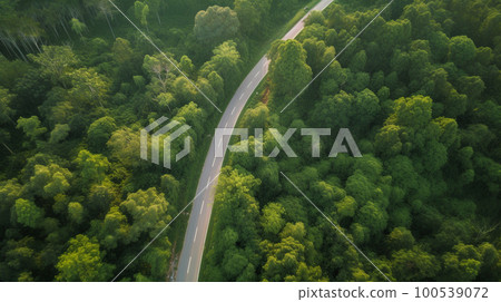 aerial photography of curved road on summer, colorful sumer nature colors on trees with sunset light 100539072