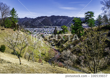 Yoshino Umekyo,東京青梅市梅花節的複興 Yoshino Umekyo,東京青梅市梅花節的複興 100539837