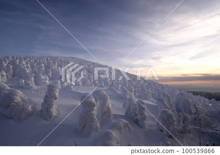 地藏山的霜凍樹木 地藏山的霜凍樹木 100539866