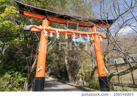 宇治神社的牌坊 100540805