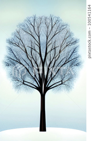 winter tree and branches in nature with snow winter tree and branches in nature with snow 100541164