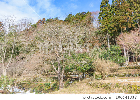 【重要人文景觀】赤足林地景觀 100541338