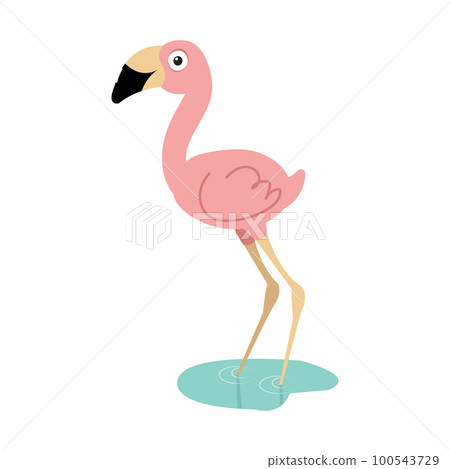 cute flamingo cartoon flat animal 100543729