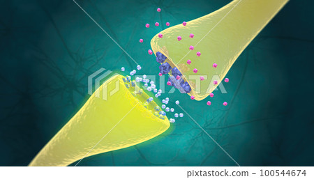 SSRIs increase the production of serotonin in the brain and also block the reuptake of serotonin into the neuron. SSRIs increase the production of serotonin in the brain and also block the reuptake of serotonin into the neuron. 100544674