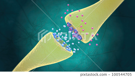 SSRIs increase the production of serotonin in the brain and also block the reuptake of serotonin into the neuron. 100544705