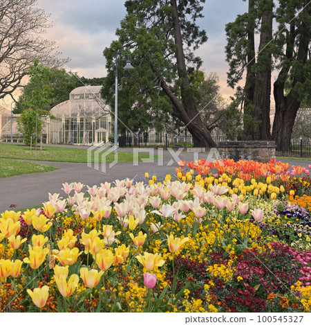 The National Botanic Gardens of Ireland. 100545327