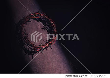 Crown of thorns in Old Wall 100545330