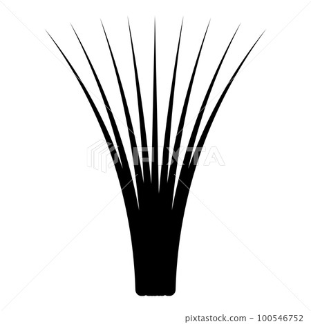 Edible grass lemongrass Cymbopogon citratus spices vegetable herbal plant icon black color vector illustration image flat style Edible grass lemongrass Cymbopogon citratus spices vegetable herbal plant icon black color vector illustration image flat style 100546752