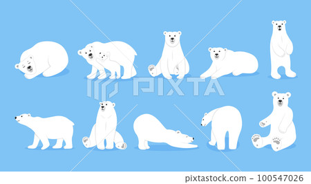 White ice polar bear set, cute animal friends in different poses. Nature arctic wildlife, standing and sitting zoo mammal, winter polarity. Tundra north predator. Vector cartoon utter illustration White ice polar bear set, cute animal friends in different poses. Nature arctic wildlife, standing and sitting zoo mammal, winter polarity. Tundra north predator. Vector cartoon utter illustration 100547026