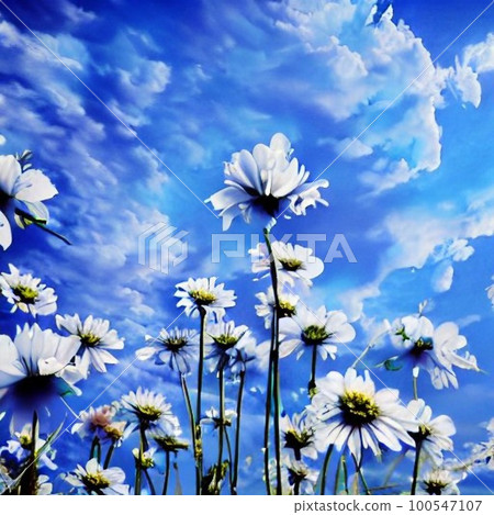 AI一代，藍天，花瓣 100547107