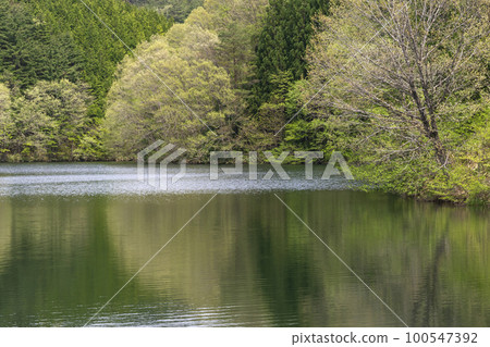 220506壩湖g043 220506壩湖g043 100547392