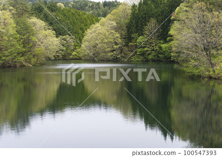 220506壩湖g029 100547393