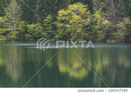 220506壩湖g018 100547395