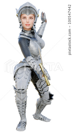 silver knight silver knight 100547442