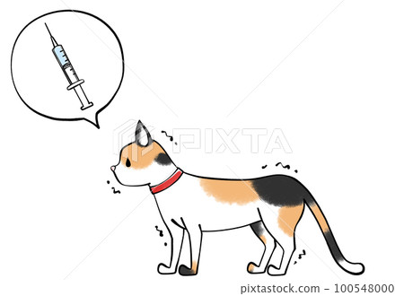 貓和疫苗的插圖 貓和疫苗的插圖 100548000