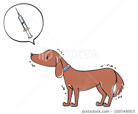 狗和疫苗插畫 100548003