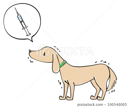 狗和疫苗插畫 100548005