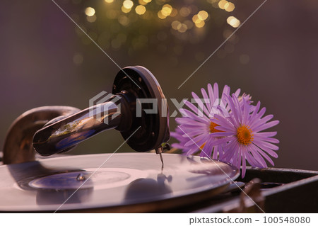 Luxurious retro gramophone with a vinyl record with a romantic bouquet of flowers. 100548080