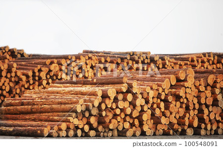 Logs are stacked in a pile for furniture production. Woodworking. Logs are stacked in a pile for furniture production. Woodworking. 100548091