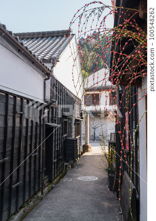 Asuke-cho in spring, Chuuma hina dolls <Toyota City, Aichi Prefecture> 100548262