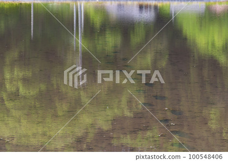 220510 gourd g035 100548406