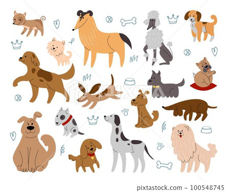 Cute sketch dogs. Pretty domestic animals. Fun pet characters. Happy puppies portraits for wallpaper. Canine breeds. Poodle and dachshund. Adorable doggy mammals set. Vector tidy isolated illustration 100548745