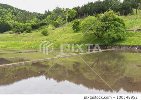 220512 尿素 z017 220512 尿素 z017 100548952