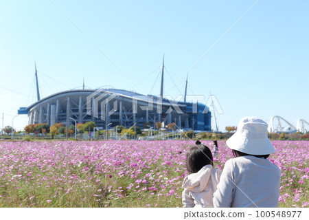 Toyota Stadium and cosmos field 100548977