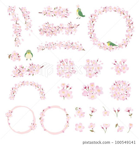 Cherry blossom illustration set, one point, decoration, design parts 100549141