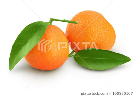 Tangerine or clementine with green leaf isolated on white background with full depth of field. Tangerine or clementine with green leaf isolated on white background with full depth of field. 100550167