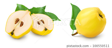 Fresh quince half isolated on the white background with full depth of field Fresh quince half isolated on the white background with full depth of field 100550511