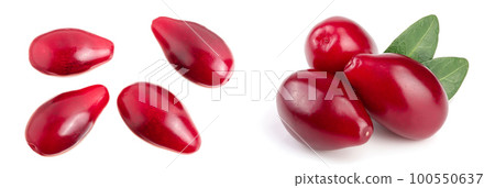 Red berries of cornel or dogwood isolated on white background. Top view. Flat lay Red berries of cornel or dogwood isolated on white background. Top view. Flat lay 100550637