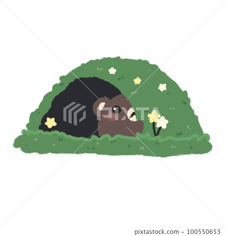 Hand-drawn Cute Dark Brown Bear with hollow grass in doodle style 100550653