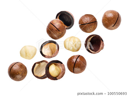 Macadamia nuts flying on a white background. Set 100550693