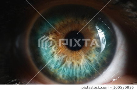 Closeup of green human eye in low light technique Closeup of green human eye in low light technique 100550956