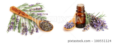 sprigs of fresh lavender and dried in spoon isolated on white background 100551124